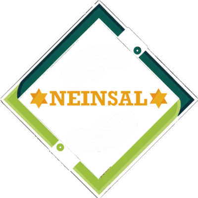 NEINSAL Logo